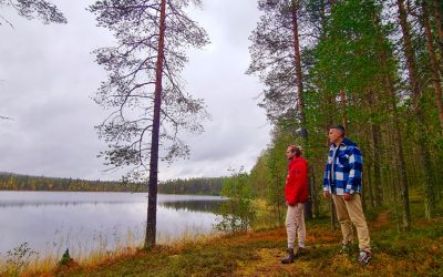 Laponia: 5 mejores cosas que ver y hacer en Salla