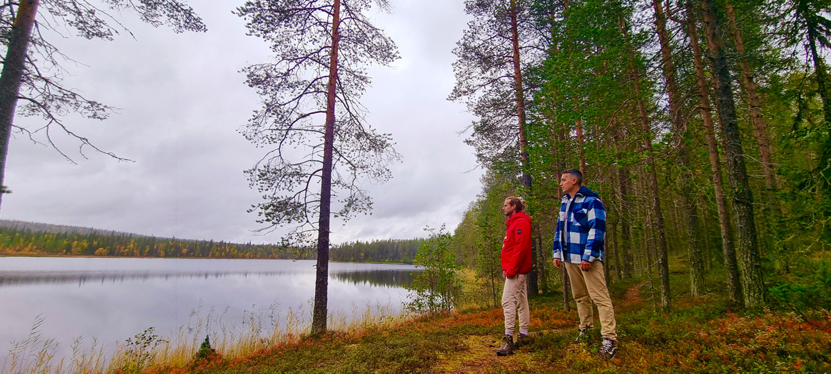 Laponia: 5 mejores cosas que ver y hacer en Salla