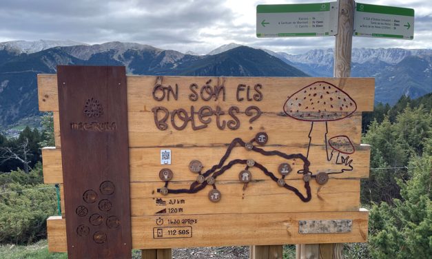 Andorra en verano: Excursión al Bosque de las Setas