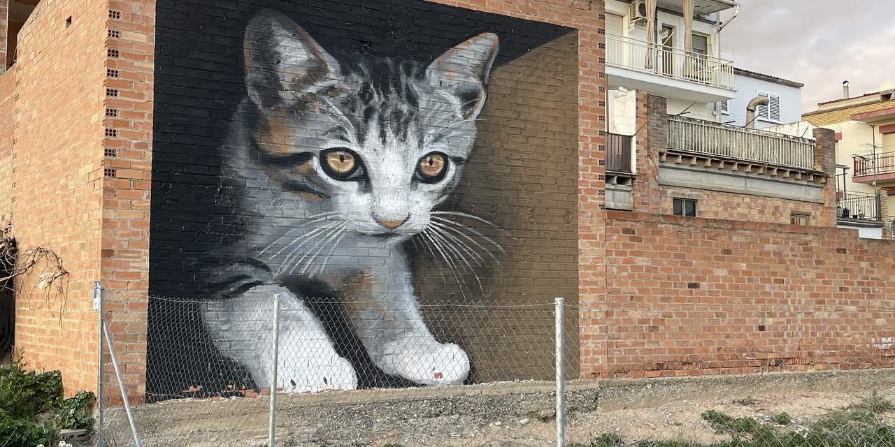 Qué ver en Torrefarrera: murales, grafitis y Street Art en Lleida