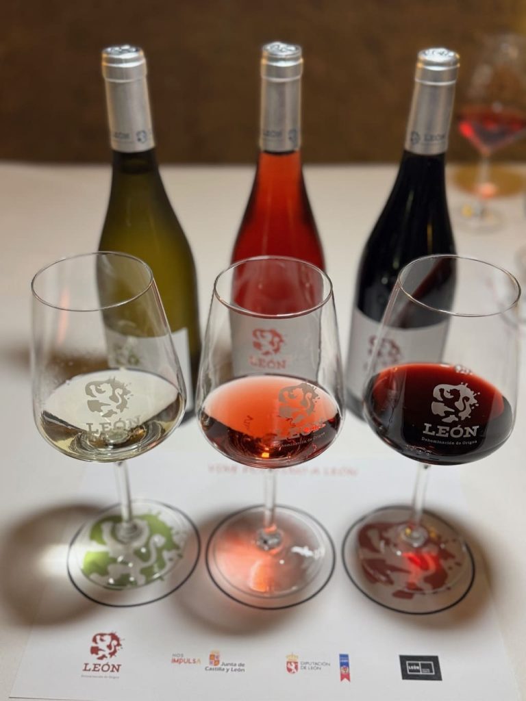Dónde ir para tomar vinos de León 