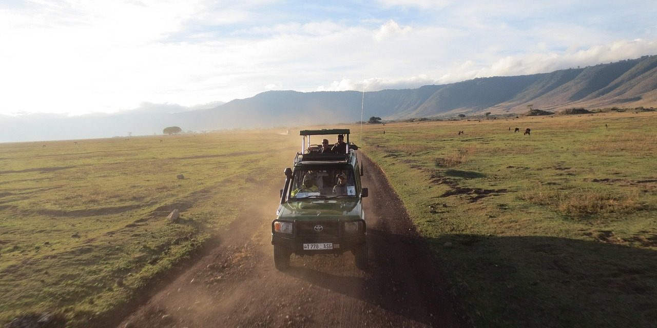 Safari Low-Cost en Tanzania: Serengeti y Ngorongoro en 3 días Mamaelos
