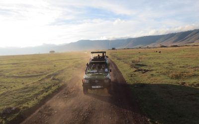 Safari Low-Cost en Tanzania: Serengeti y Ngorongoro en 3 días Mamaelos