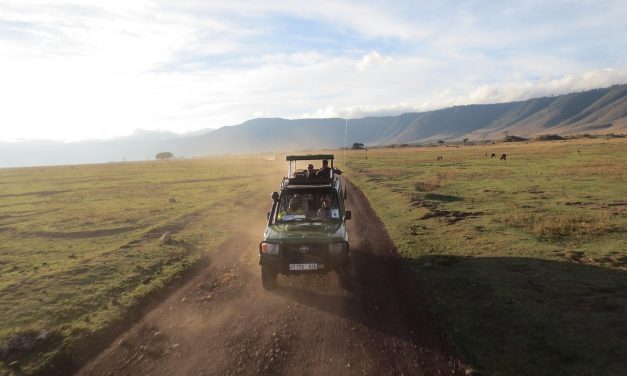 Safari Low-Cost en Tanzania: Serengeti y Ngorongoro en 3 días Mamaelos